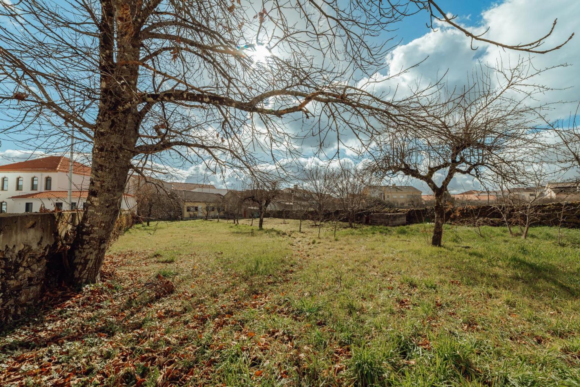 Villa Casa Do Malhadinhas By Vacationy à Vila Nova de Paiva Extérieur photo